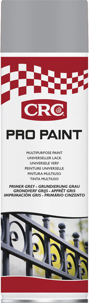 Schutzlack Silber Pro Paint, 500 ml