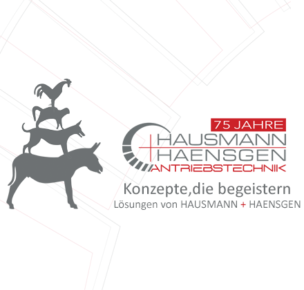 Hausmann+Haensgen